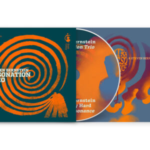 steven bernstein ResoNation Trio / Ultra Resonance